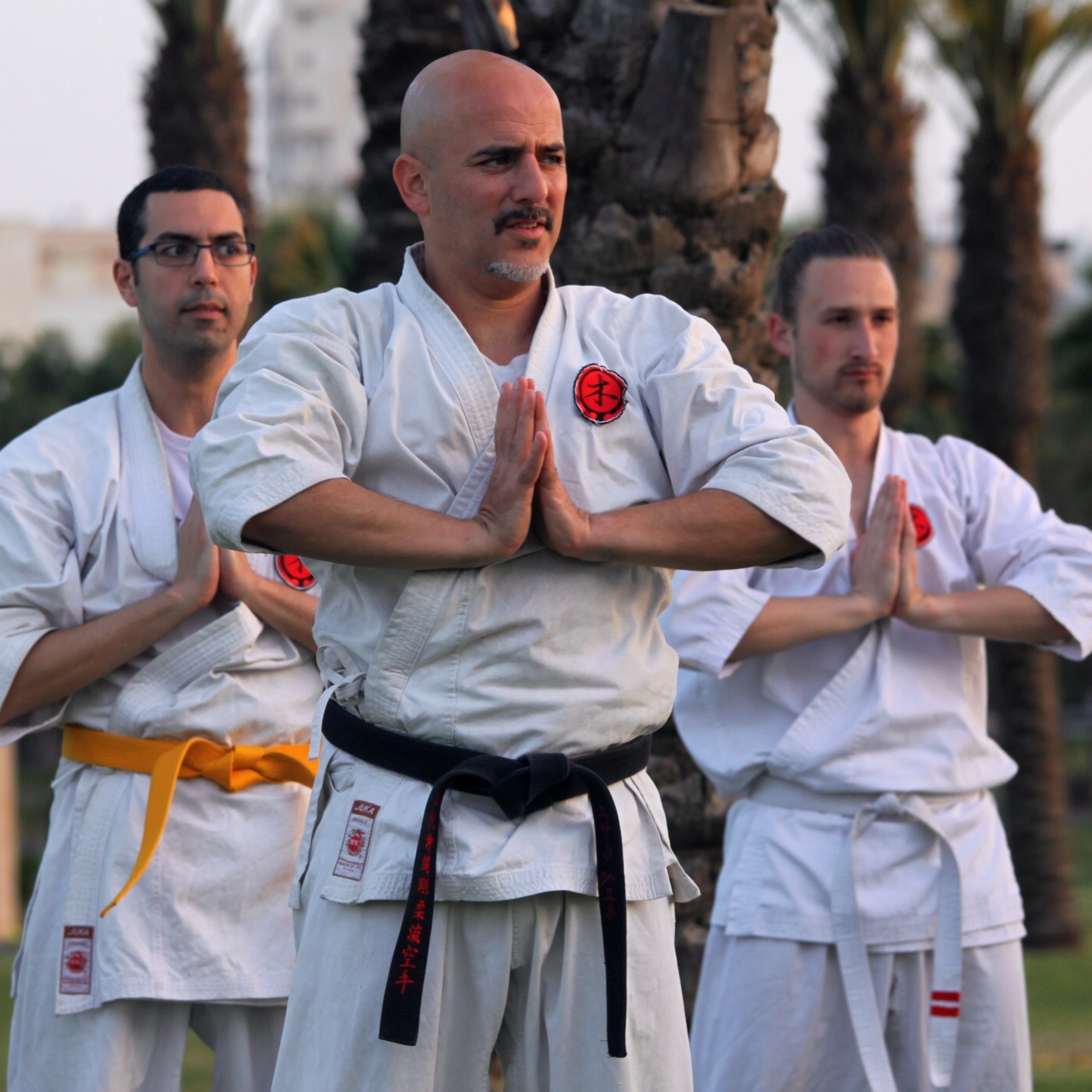 Le Goju en quelques mots - Goju ryu dordogne